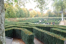 Schloss_Schönbrunn_Irrgarten_03.JPG